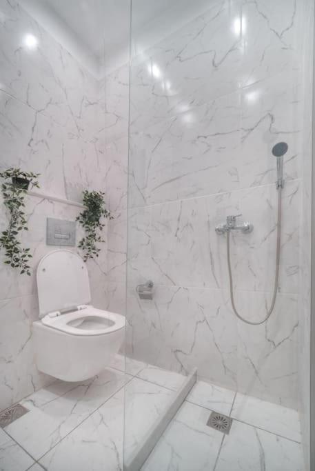 Εστία 10 Λεπτά Από Την Ακρόπολη Apartment Атина Екстериор снимка